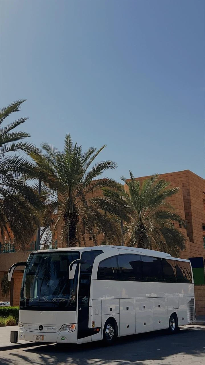 الحافلة قرب أشجار النخيل